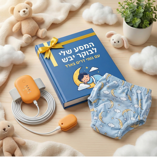 הסוד של נומי: המדריך הרשמי ללילות מנצחים